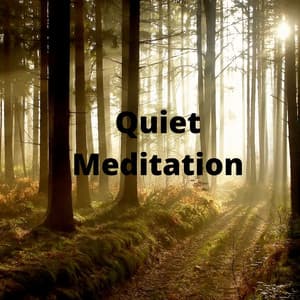 Quiet Meditation - Rain Makers