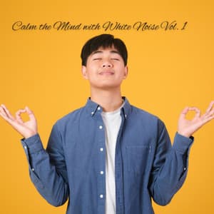 Calm the Mind with White Noise Vol. 1 - Calm Music