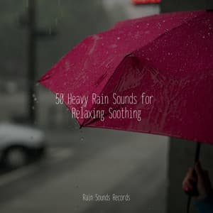 50 Heavy Rain Sounds for Relaxing Soothing - Relaxed Minds