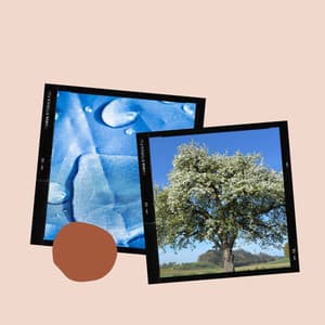 Charming Bgm for Recharging Routines - Lavoro da Casa Musica Di Sottofondo