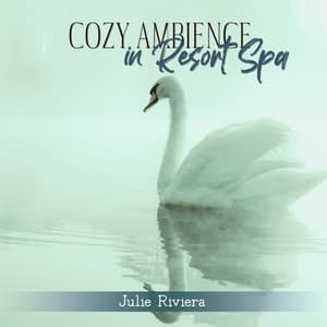 Cozy Ambience in Resort Spa: Soothing Sounds for Spa, Wellness, Massage, Fight Against Anxiety, Stress & Negative Mental States - Julie Riviera