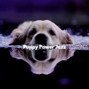 Puppy Power Jazz - Alegre Trabajar desde Casa