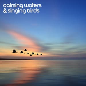 Calming Waters & Singing Birds: Relieve Stress, Fatigue, Depression • Sounds & Melodies To Heal Body And Spirit - Total Nature Relaxation