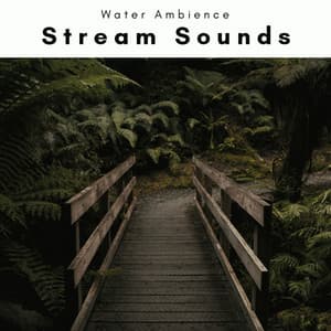 2022 Stream Sounds - Water Ambience