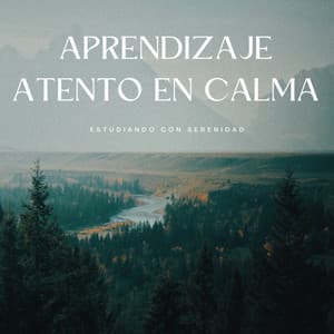 Aprendizaje Atento En Calma: Estudiando Con Serenidad - Lista de Reproducción de Estudio