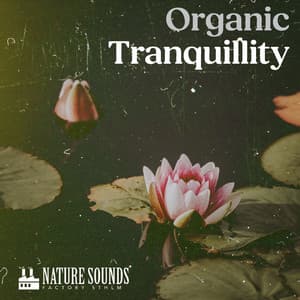 Organic Tranquillity - Nature Sounds Factory STHLM
