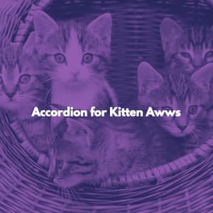 Accordion for Kitten Awws - Background Restaurant Lounge Music