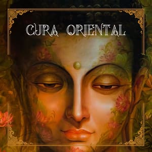 Cura Oriental: Meditação Hindu para Ansiedade, Yoga e Atenção Plena para Iniciantes - Academia de Música de Fundo e Ambiente