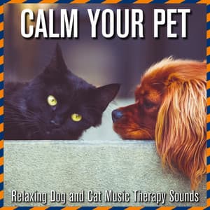 Calm Your Pet: Relaxing Dog and Cat Music Therapy Sounds - Dog Music
