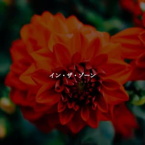 イン・ザ・ゾーン - Lounge Bar New York