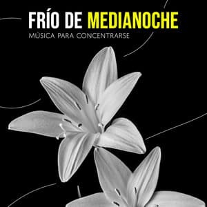 Frío de Medianoche - Música para Concentrarse