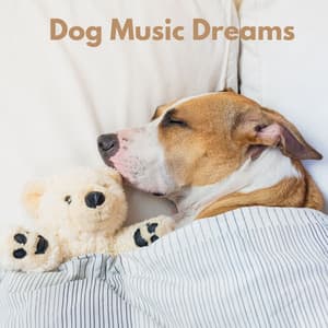 Dog Music Dreams - Honden Relax