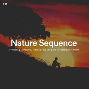 #01 Nature Sequence for Healing Tranquility, to Relax Your Mind and Peaceful Environment - The Nature Soundscapes