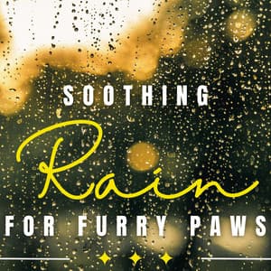 Rain's Pet Serenade: Calming Rainfall - Rain Sounds Sleep