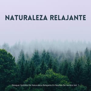 Bosque: Sonidos De Naturaleza Relajante En Noches De Verano Vol. 1 - Sonidos Del Bosque