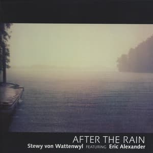 After the Rain - Stewy Von Wattenwyl