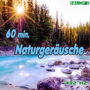 60 Minuten Naturgeräusche - 432 HZ Musik