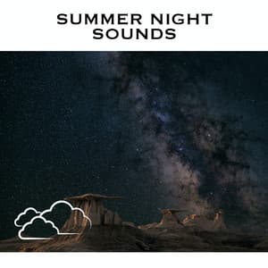 Summer Night Sounds - Cricket Sounds
