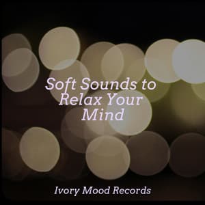 Soft Sounds to Relax Your Mind - Ivory Mood