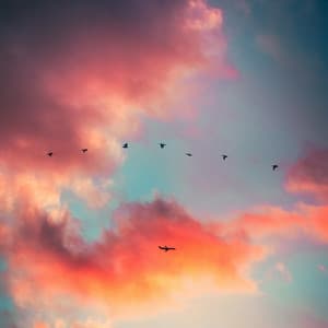 Warm Sound to Calm - Fan Noise for Sleeping