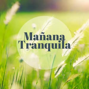 Mañana Tranquila - Jani Pay