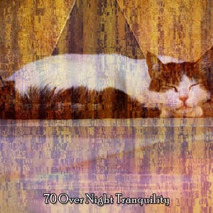 70 Over Night Tranquility - Piano Relax