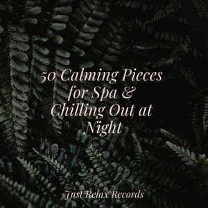 50 Calming Pieces for Spa & Chilling Out at Night - kinderliedjes