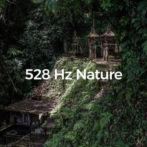 528 Hz Nature - Lunacy