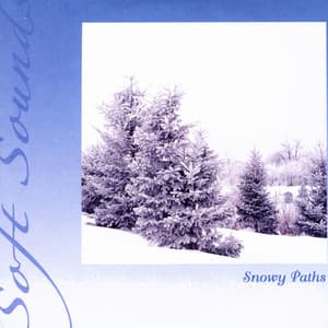 Snowy Paths - Soft Sounds