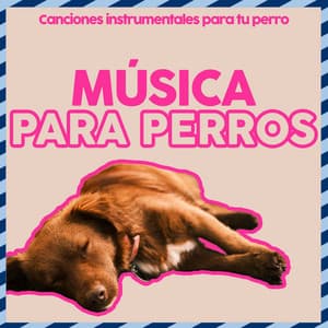 Música para perros - Canciones instrumentales para tu perro - Dog Music