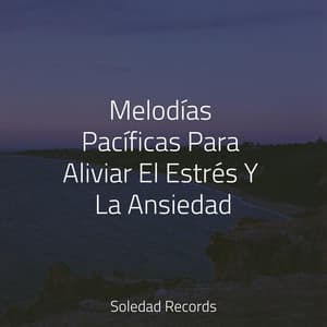 Melodías Pacíficas Para Aliviar El Estrés Y La Ansiedad - Spa & Spa