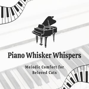 Piano Whisker Whispers: Melodic Comfort for Beloved Cats - Contemplative Souls