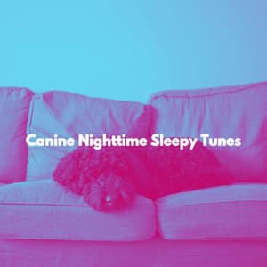 Canine Nighttime Sleepy Tunes - New York Luxury Playlist