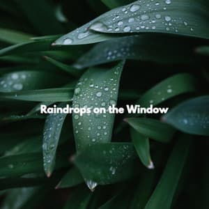 Raindrops on the Window - Relaxing Instrumental Jazz