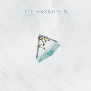 The Forgotten - Bruno Hulme