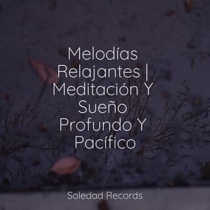 Melodías Relajantes | Meditación Y Sueño Profundo Y Pacífico - Musica Relajante Specialistas & Musica Relajante