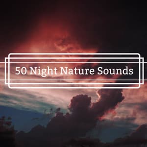 50 Night Nature Sounds - Personal Transformation Sound to Awaken Mind - Night Mood