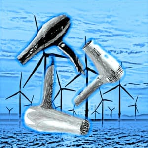 Hair Dryer Collection - Baby Sweet Dream