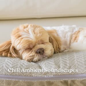 Chill Ambient Soundscapes: Dreaming Pets - Music For Pets
