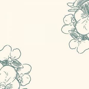 Playful Background for Relaxed June Nites - Afternoon Tea Bossa Nova Playlist