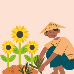 Feelings for Bright Stars - Soft Jazz Band