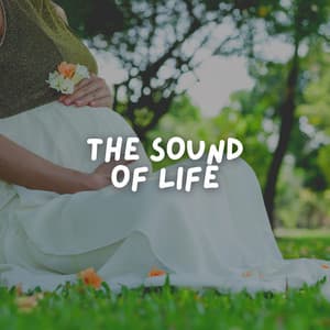 The Sound of Life - Heartbeat Sound for Baby