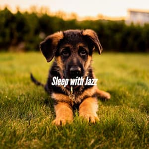 Sleep with Jazz - Music for Pets Playlist