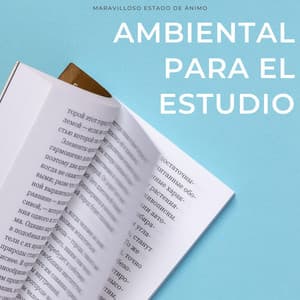 Maravilloso Estado De Ánimo Ambiental Para El Estudio - Grabaciones de naturaleza 4D
