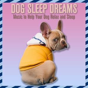 Dog Sleep Dreams: Music to Help Your Dog Relax and Sleep - Dog Music Waves