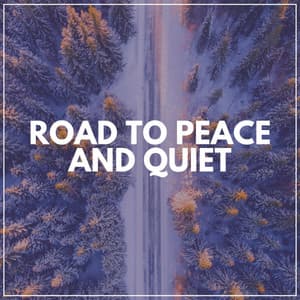 Road to Peace and Quiet - Meditation Music