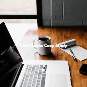 Chill Tracks Cozy Study - Los Pianos Barrocos
