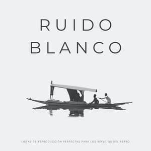 Ruido Blanco: Listas De Reproducción Perfectas Para Los Reflejos Del Perro - Ruido Blanco Tranquilo