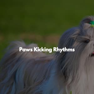 Paws Kicking Rhythms - Jazz for Work Classics
