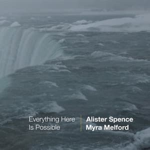 Everything Here Is Possible - Alister Spence